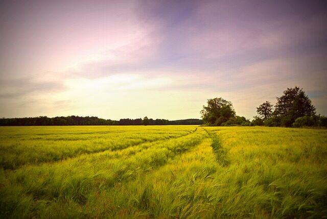 Guía de 30 recursos para trabajar los cinco sentidos en Educación Infantil 4 30 recursos para trabajar los cinco sentidos en educacion infantil 4
