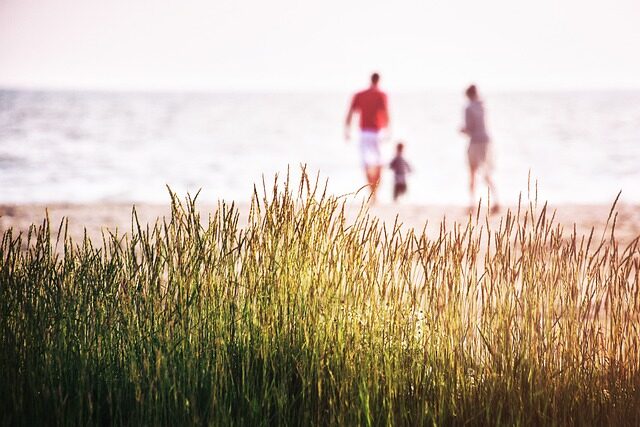 Las mejores ideas y actividades para disfrutar del verano en familia: guía definitiva 1 las mejores ideas y actividades para disfrutar del verano en familia 1
