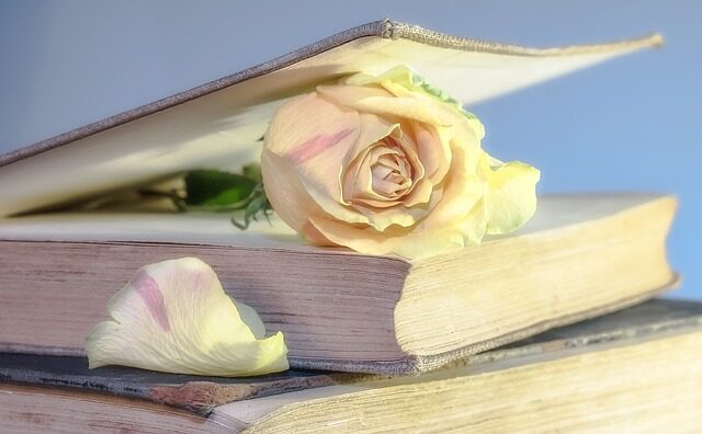 Descubre los mejores libros de Alice Kellen, la escritora romántica preferida entre los jóvenes 5 los mejores libros de alice kellen la escritora romantica preferida entre los jovenes 5
