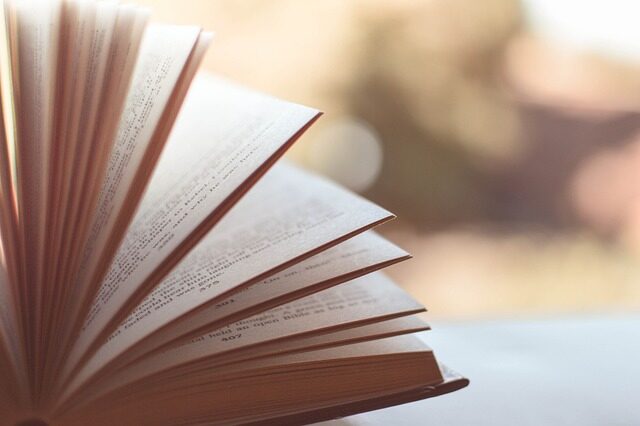 los mejores libros para 2024 2