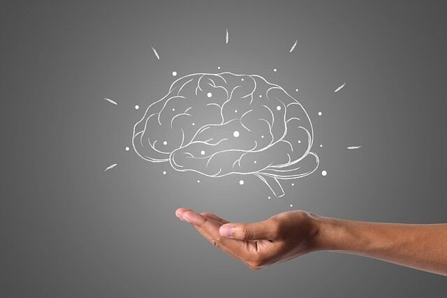 neuroeducacion cerebro triuno y sus aplicaciones educativas 1