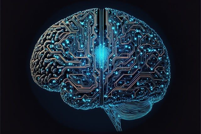 neuroeducacion cerebro triuno y sus aplicaciones educativas 3