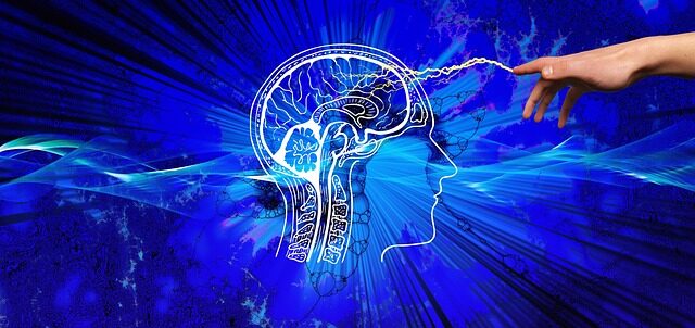 neuroeducacion cerebro triuno y sus aplicaciones educativas 4