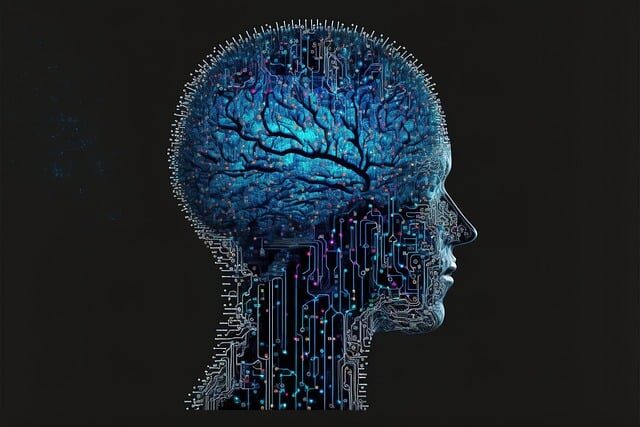 neuroeducacion cerebro triuno y sus aplicaciones educativas 5