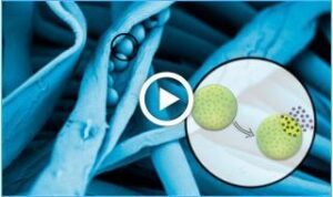 Microcápsulas: Aplicación y Caracterización