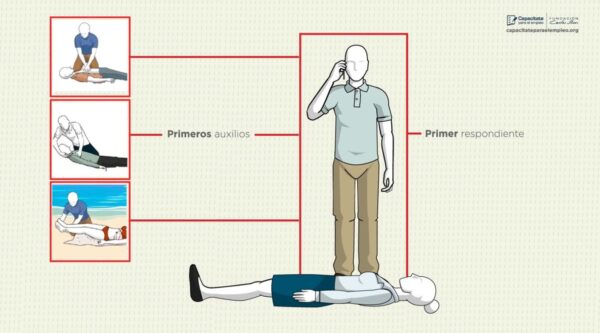 Curso de Primer respondiente (Introducción)