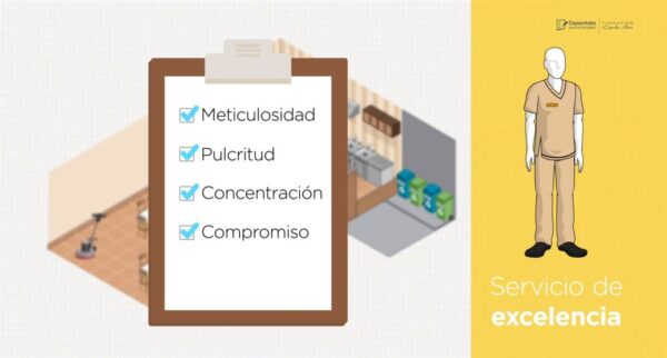 Curso de Steward