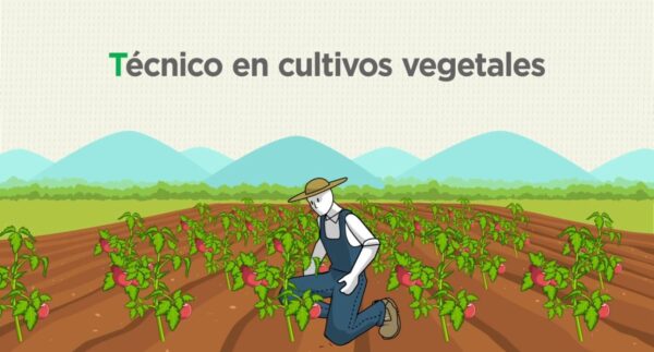Curso de Técnico en cultivos vegetales 1 Curso de Técnico en cultivos vegetales