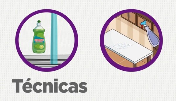 Curso de Manejo Higiénico de los alimentos 1 Curso de Higiene en los alimentos