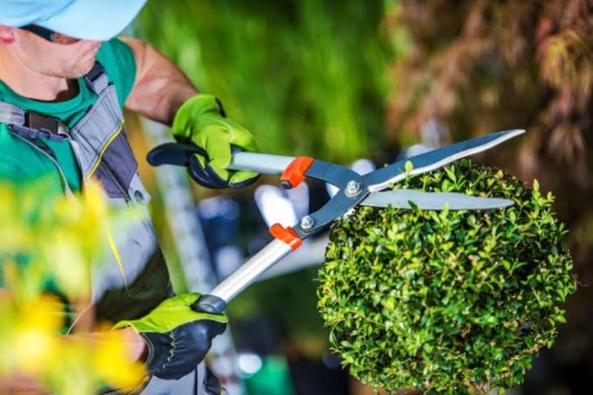 curso de jardinero a gran escala