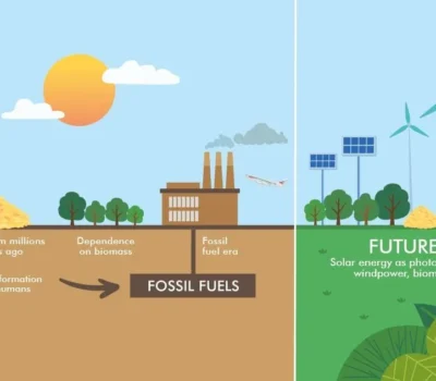 aprende sobre energias renovables y sostenibilidad jpg