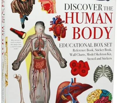 descubre las maravillas del cuerpo humano jpg