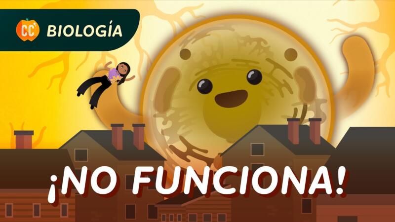 ¿Por Qué No Estamos Hechos de Una Sola Célula Gigante?: Descúbrelo en Crash Course Biología #41 1 1721480507 maxresdefault scaled
