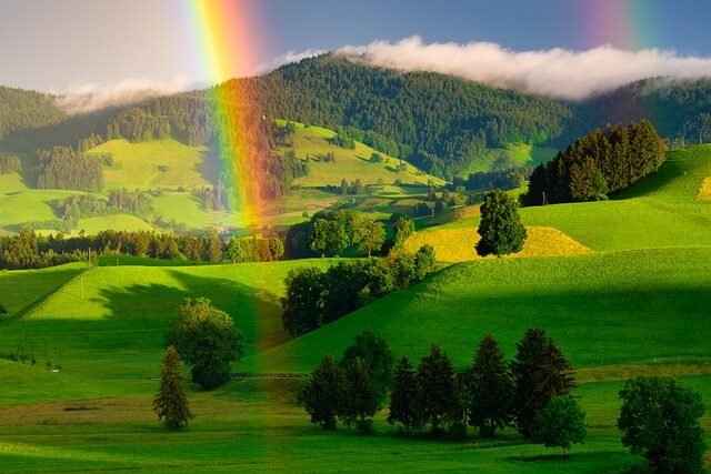 despierta la creatividad del alumnado de infantil con arcoiris para colorear