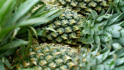 ¿Qué fruta soy? Juega en familia a adivinarlo con estas adivinanzas para niños 120 que fruta soy juega en familia a adivinarlo con estas adivinanzas para ninos