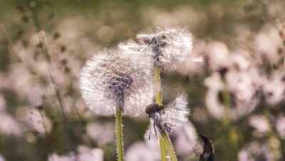 entendiendo como multiplicar propiedades de la multiplicacion